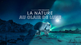 La nature au clair de lune