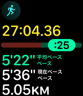 ある人物のペースと距離を表示しているランニングフォーム指標