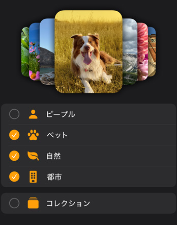 Apple Watchの複数の写真の文字盤がフィルタメニューの上方に重ねて表示されている