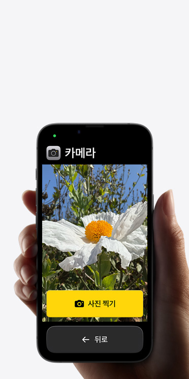 단순화된 카메라 앱 인터페이스에 하얀색 꽃을 보여주는 프레임 및 그 아래에 있는 사진 찍기 버튼과 뒤로 버튼이 표시된 iPhone 16e 화면 