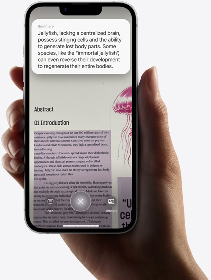 มือกำลังถือ iPhone 16e ที่แสดงผลการค้นหาโดยใช้ระบบอัจฉริยะด้วยภาพ