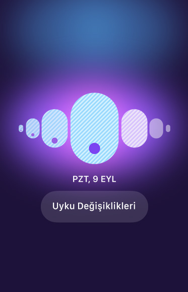 Döngü İzleme uygulamasında uyku değişiklikleri düğmesi gösteriliyor.