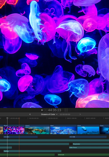 A Mac desktop. The Blender app is displayed.