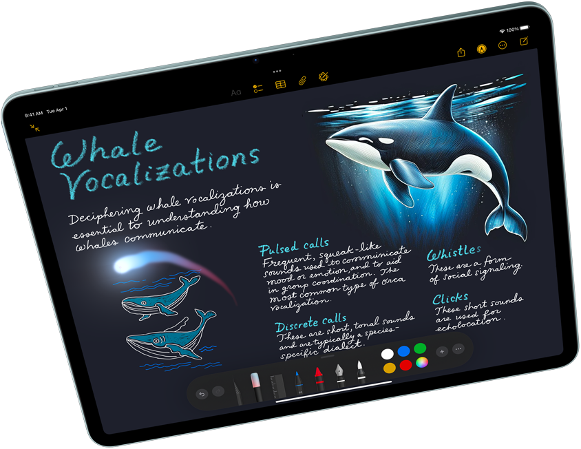 عرض أفقي لجهاز iPad Air يُبرز Apple Intelligence مع عالم الصور، وKeynote، وقلم Apple Pro‏