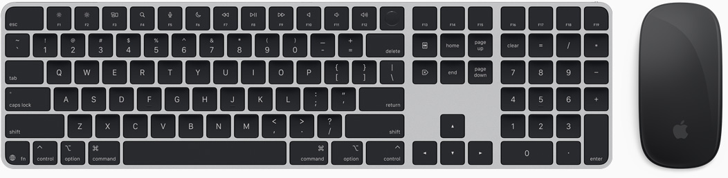 Magic Keyboard e Magic Mouse mostrati dall’alto