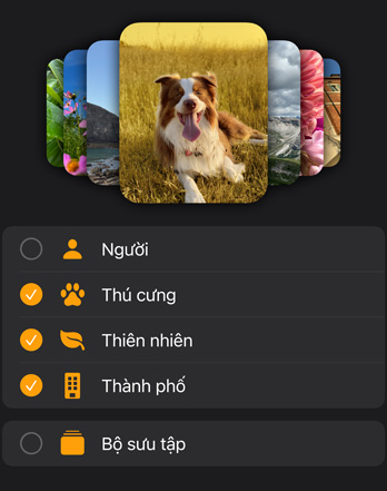 Một vài mặt đồng hồ ảnh Apple Watch được xếp chồng lên một menu lọc